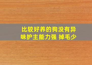 比较好养的狗没有异味护主能力强 掉毛少